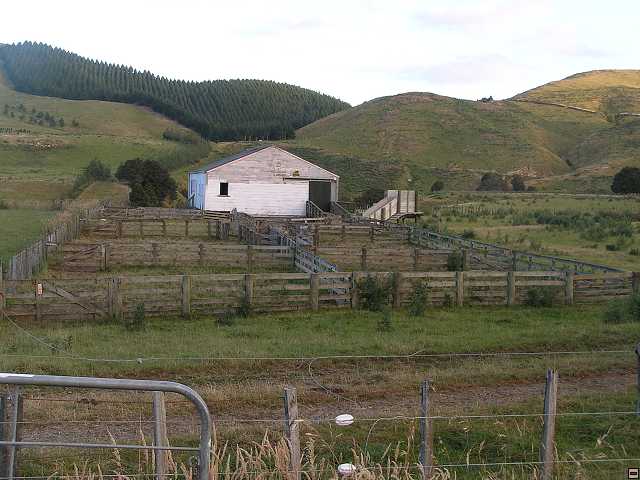 NZ leden-unor 2006 020.jpg